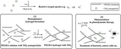 TiO2 as Photosensitizer and Photoinitiator for Synthesis of Photoactive TiO2-PEGDA Hydrogel Without Organic Photoinitiator